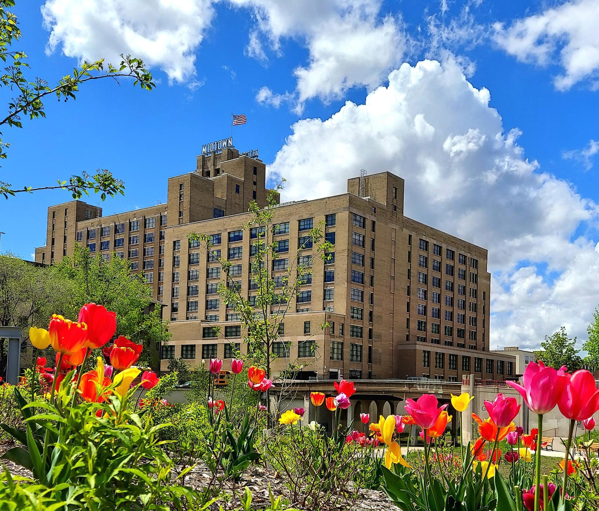 2929 Chicago Avenue Unit 1002, Minneapolis MN 55407