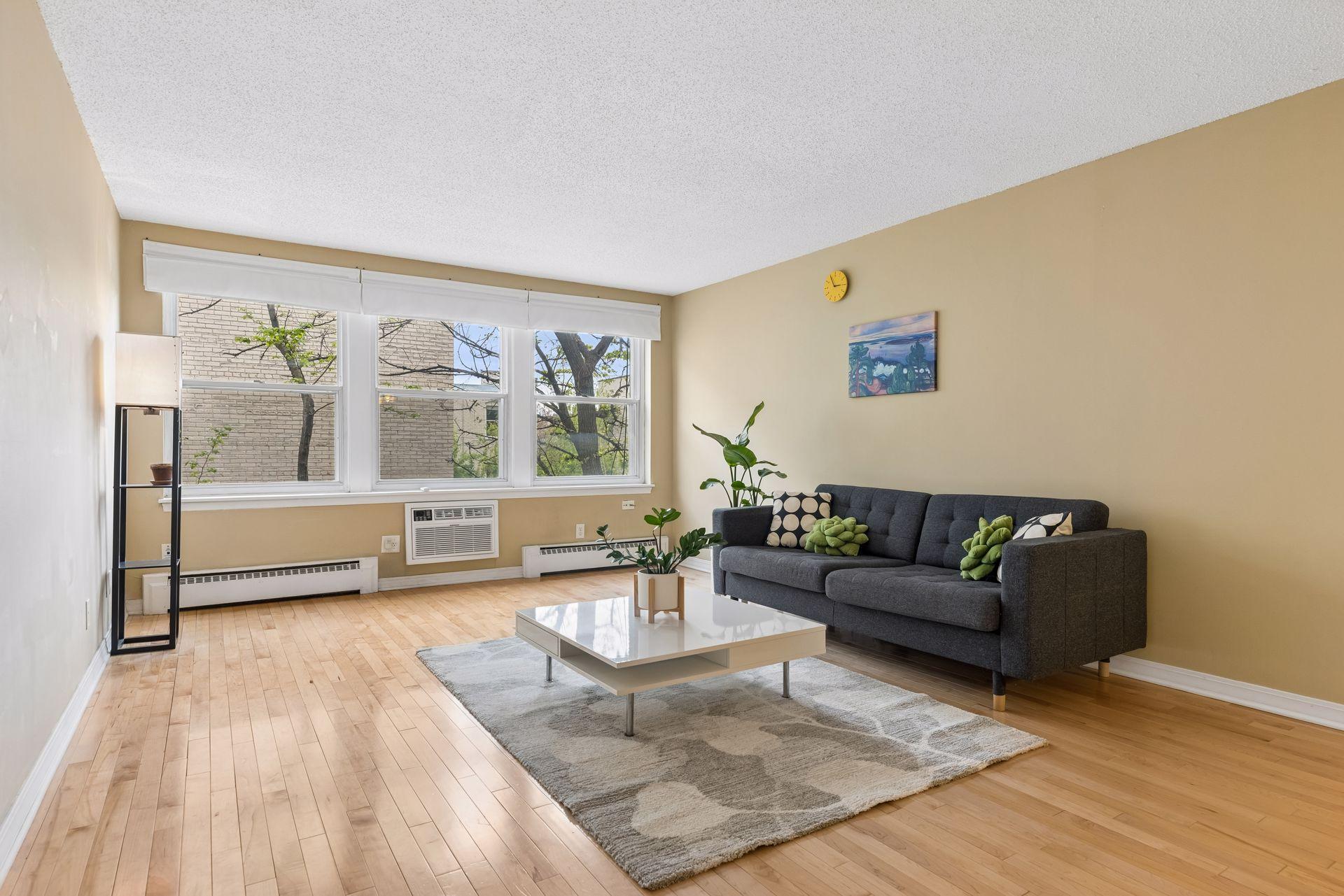 821 Douglas Avenue Unit 205, Minneapolis MN 55403