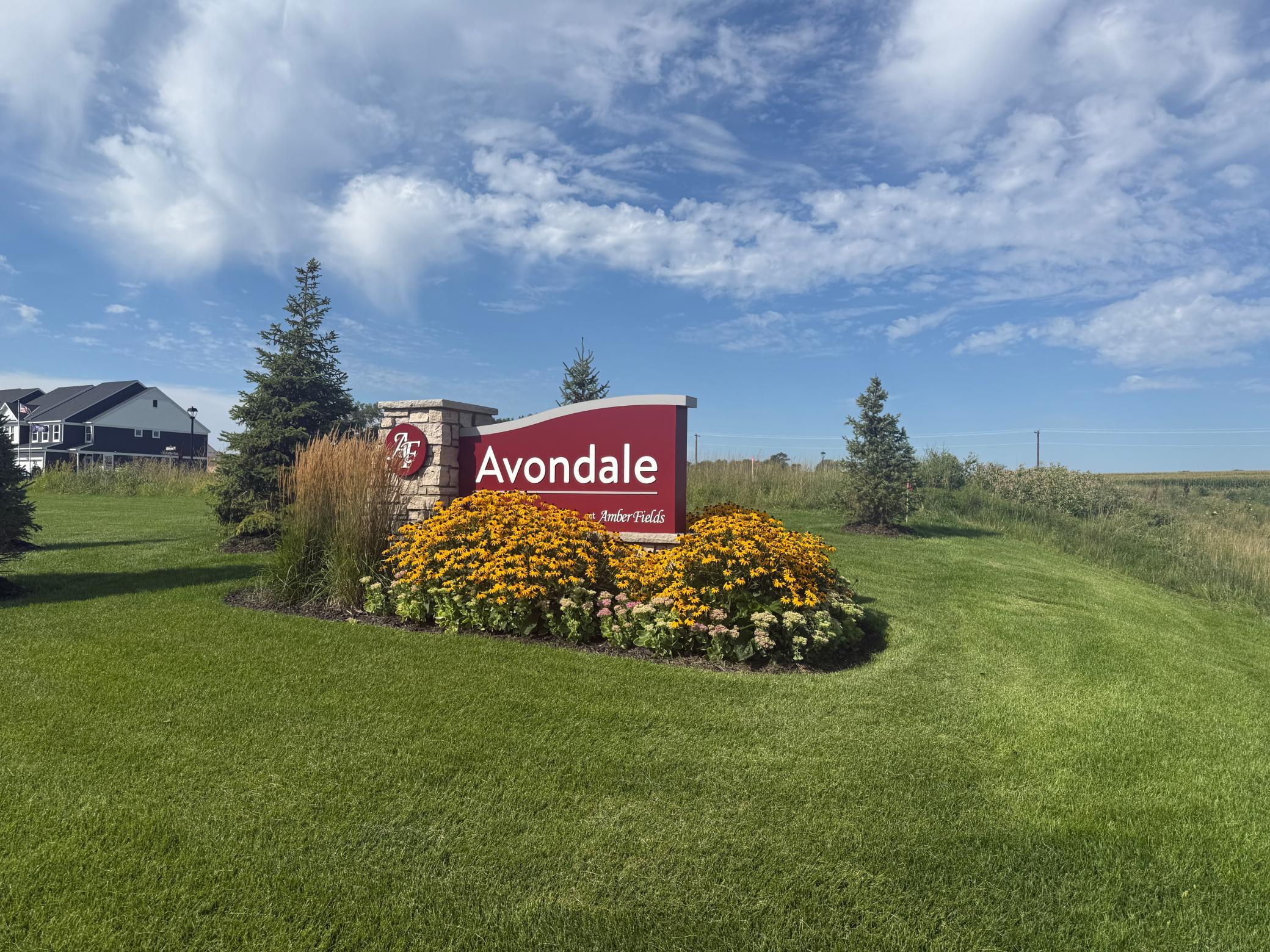 15173 Amber Fields Boulevard, Rosemount MN 55068