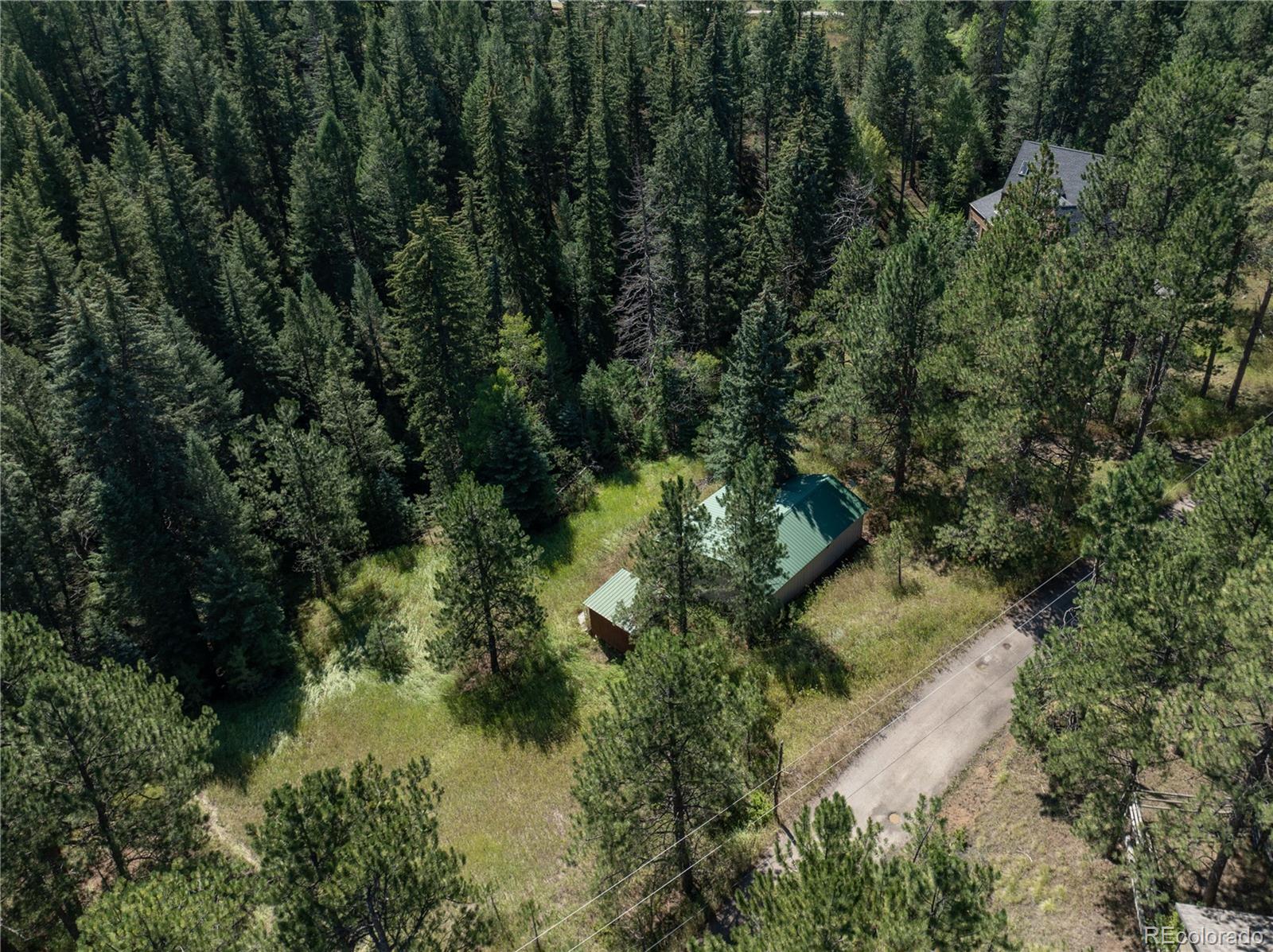 5925 Herzman Drive, Evergreen CO 80439
