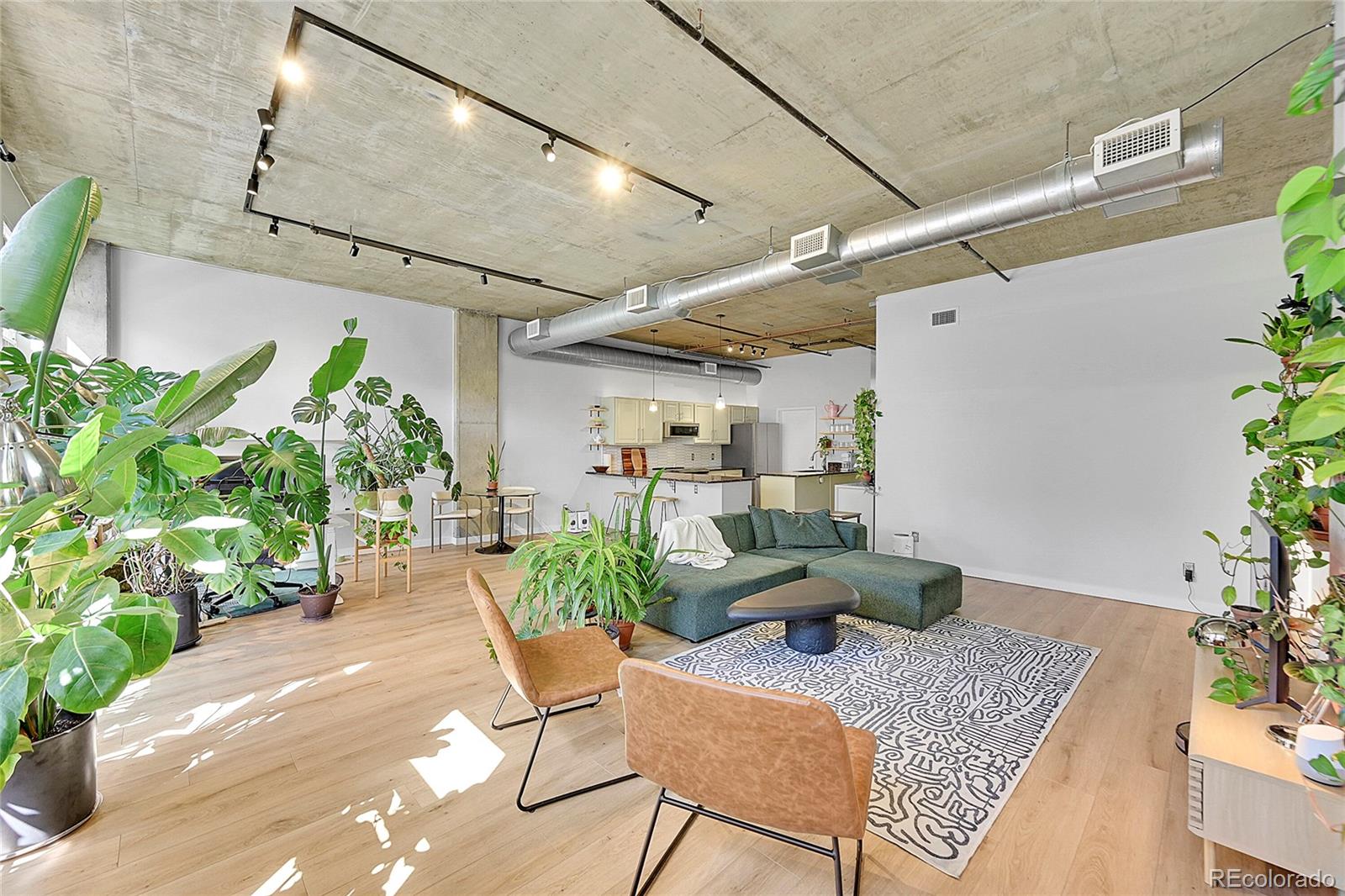 290 W 12th Avenue Unit 205, Denver CO 80204