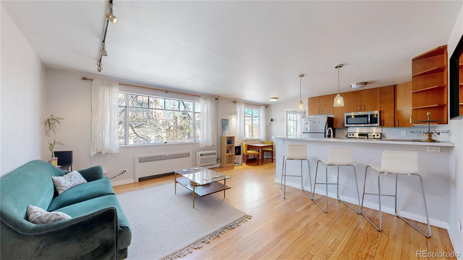 500 E 11th Avenue Unit 303, Denver CO 80203
