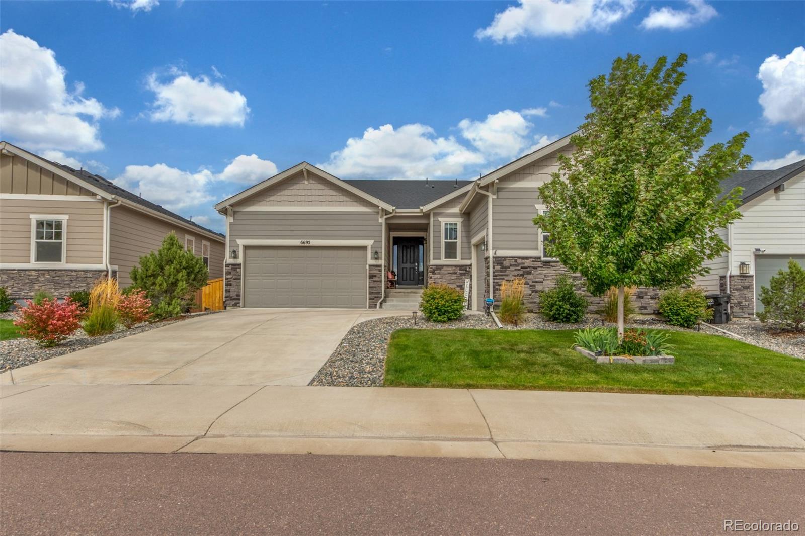 6695 Petunia Place, Castle Rock CO 80108