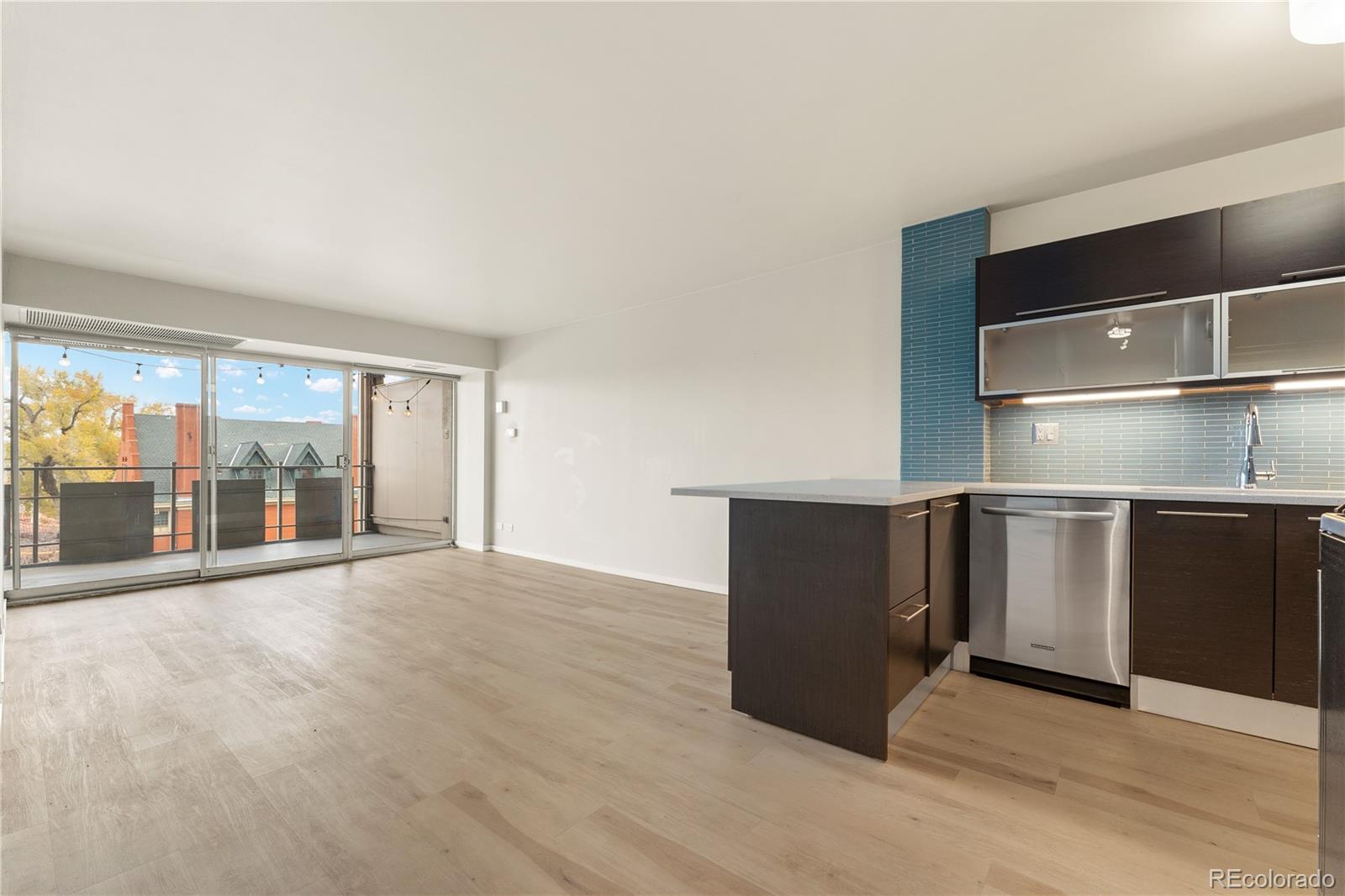 800 N Washington Street Unit 508, Denver CO 80203