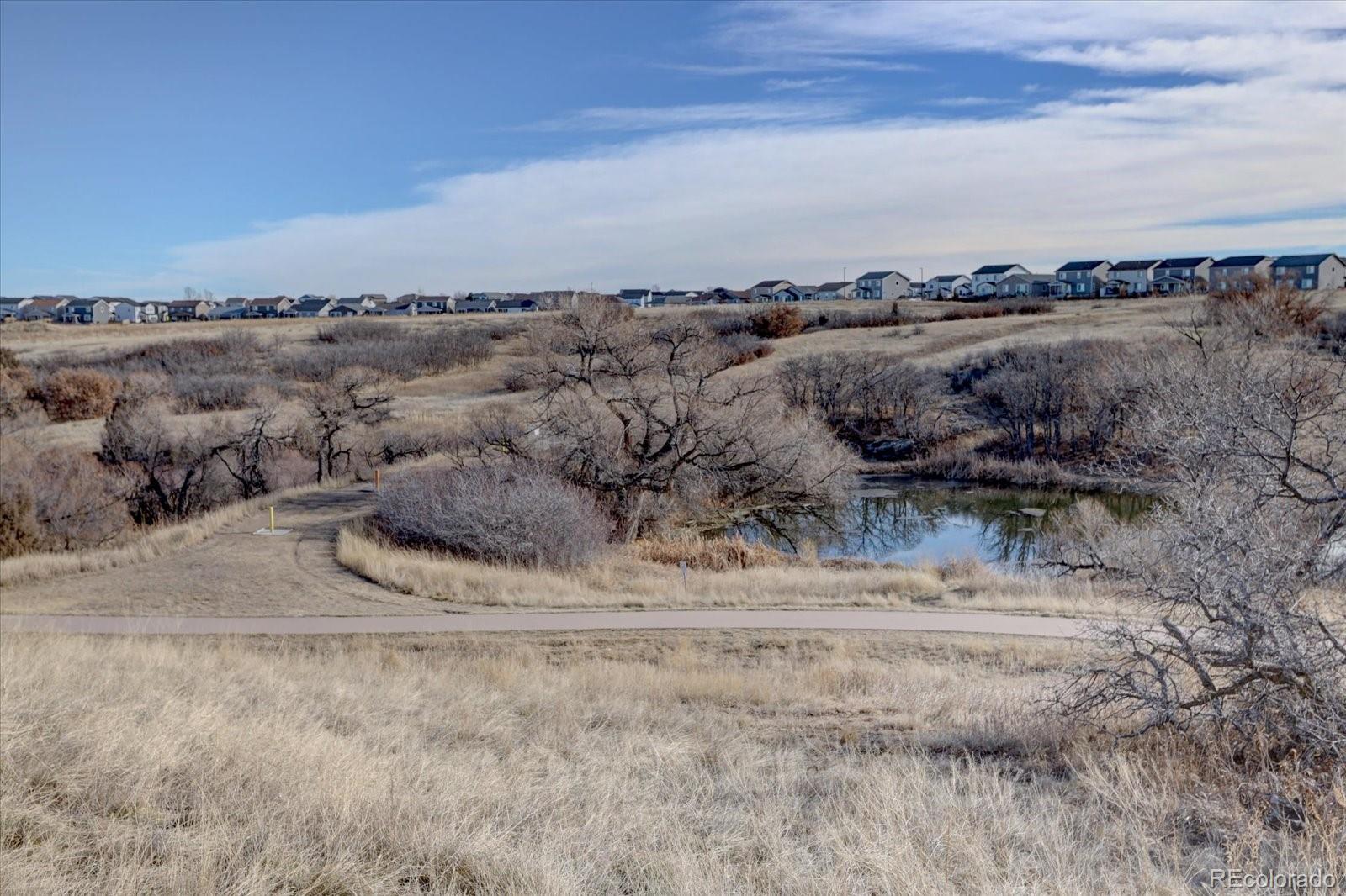 162 Tilbury Avenue, Castle Rock CO 80104