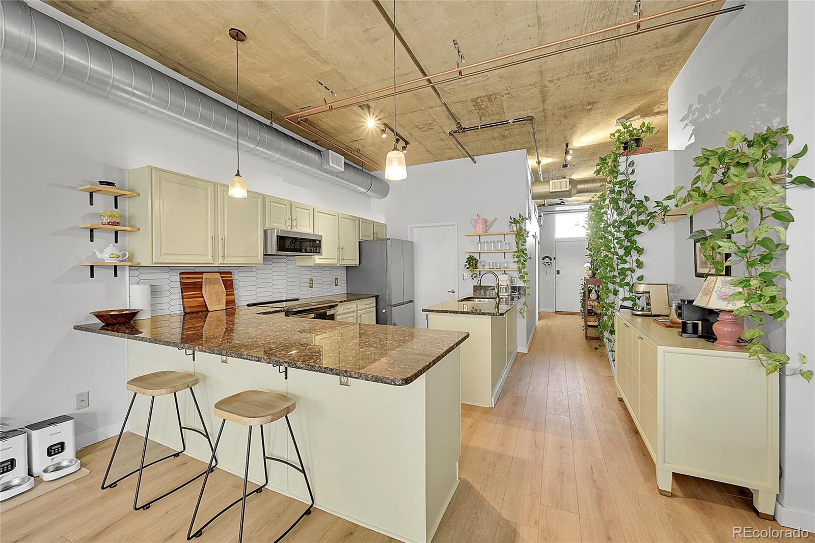 290 W 12th Avenue Unit 205, Denver CO 80204