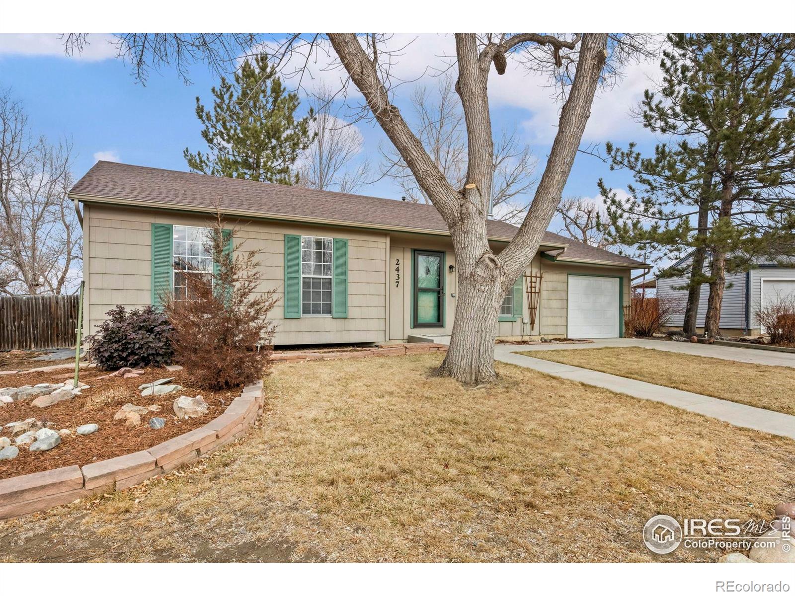 2437 Lincoln Street, Longmont CO 80501