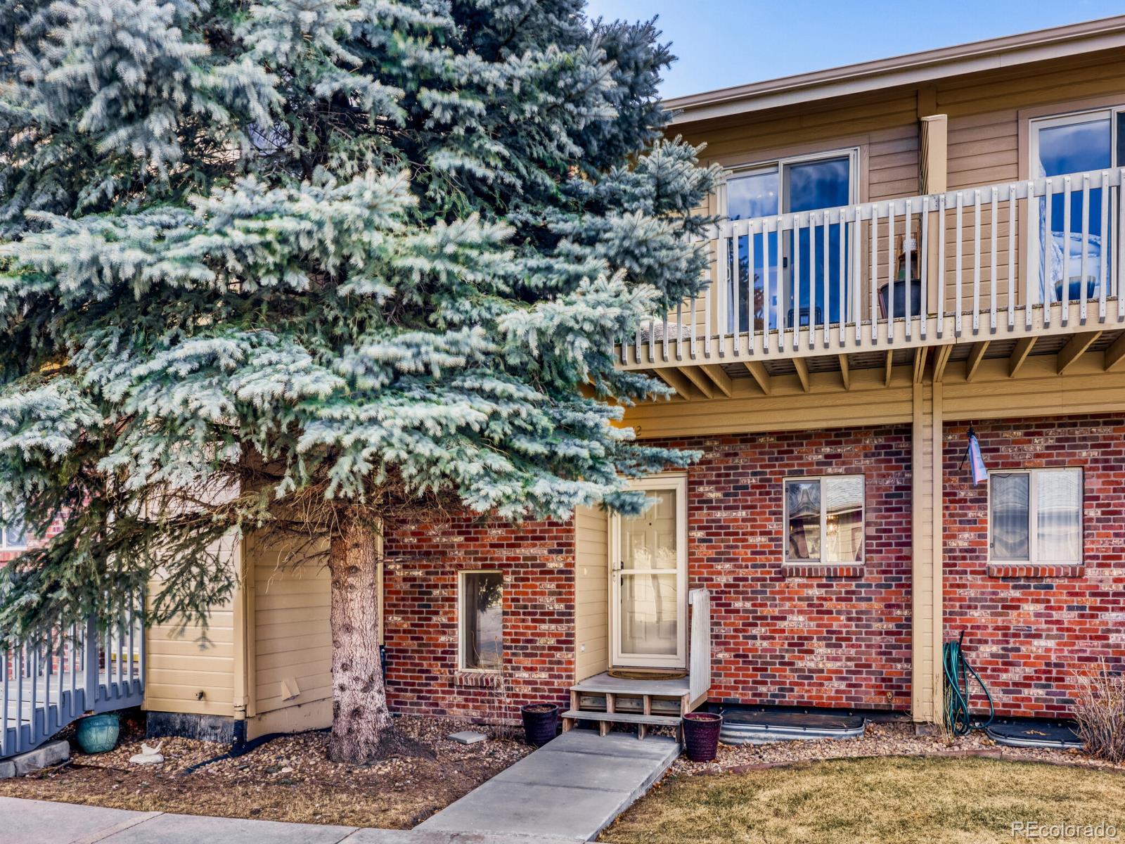 212 S Oman Road, Castle Rock CO 80104