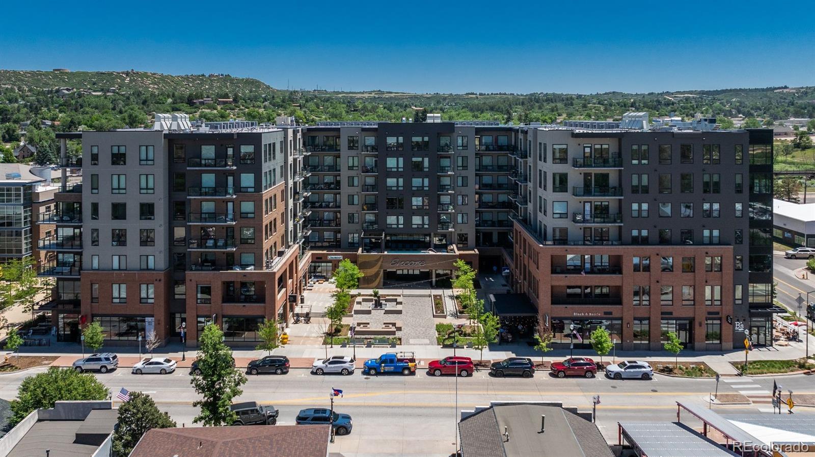 20 Wilcox Street Unit 314, Castle Rock CO 80104