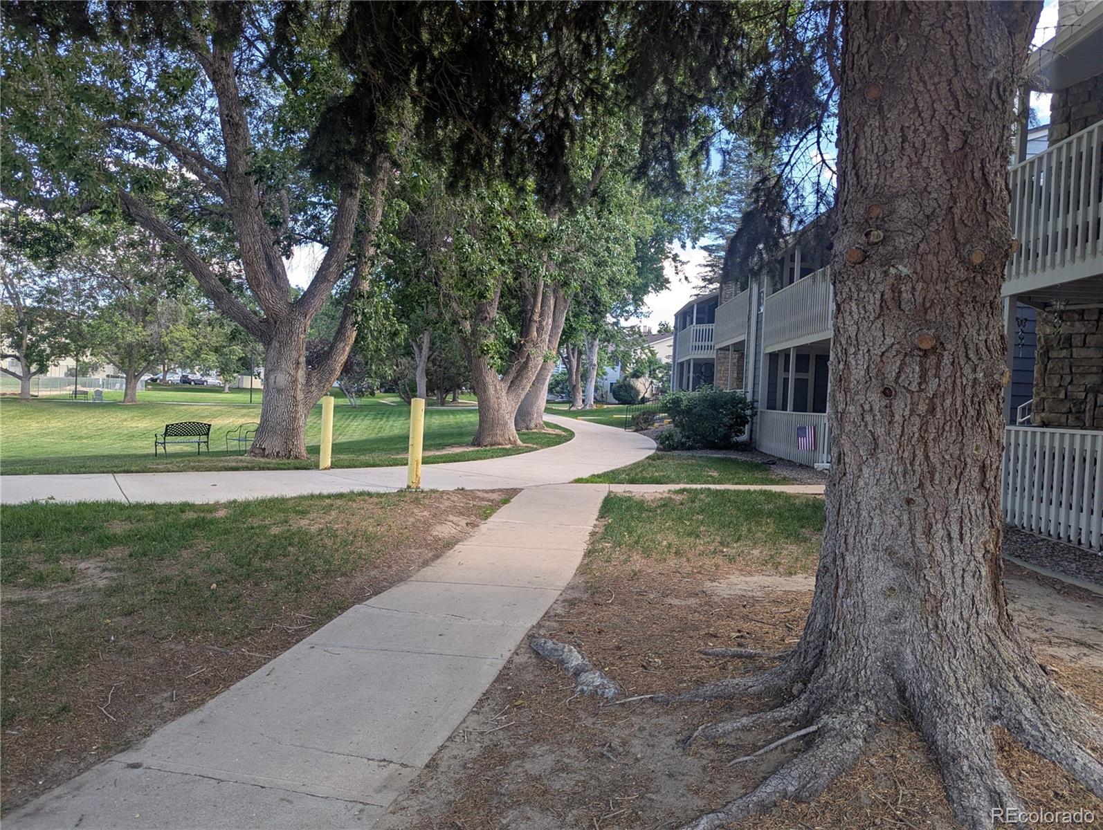 8335 Fairmount Drive Unit 3-203, Denver CO 80247