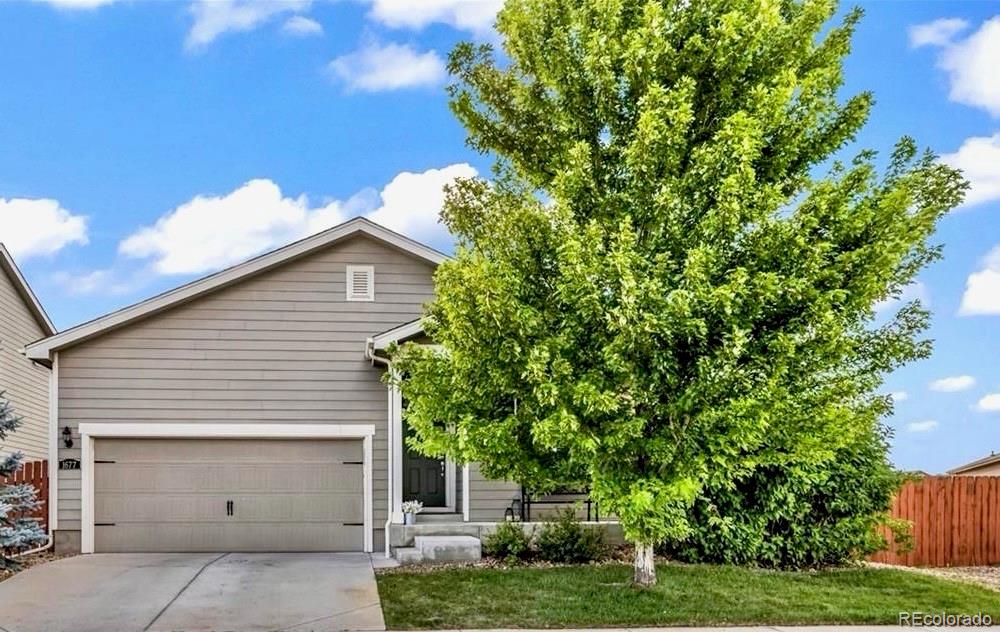 1677 Taos Street, Brighton CO 80603