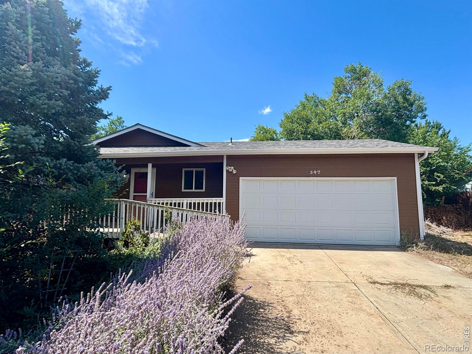 347 Walnut Drive, Frederick CO 80530