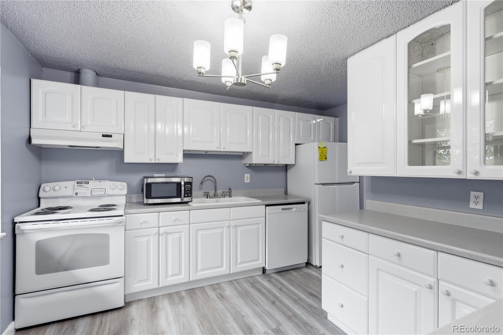 1008 N Corona Street Unit 501, Denver CO 80218