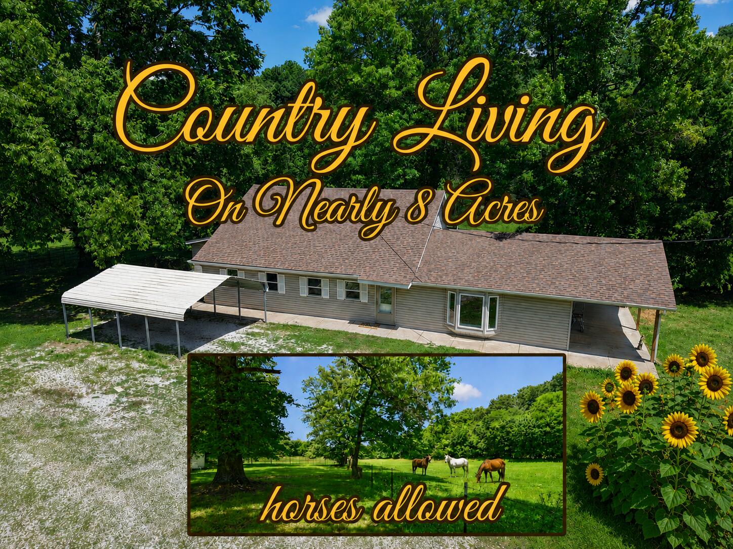 533 Ghan Road, Clever MO 65631