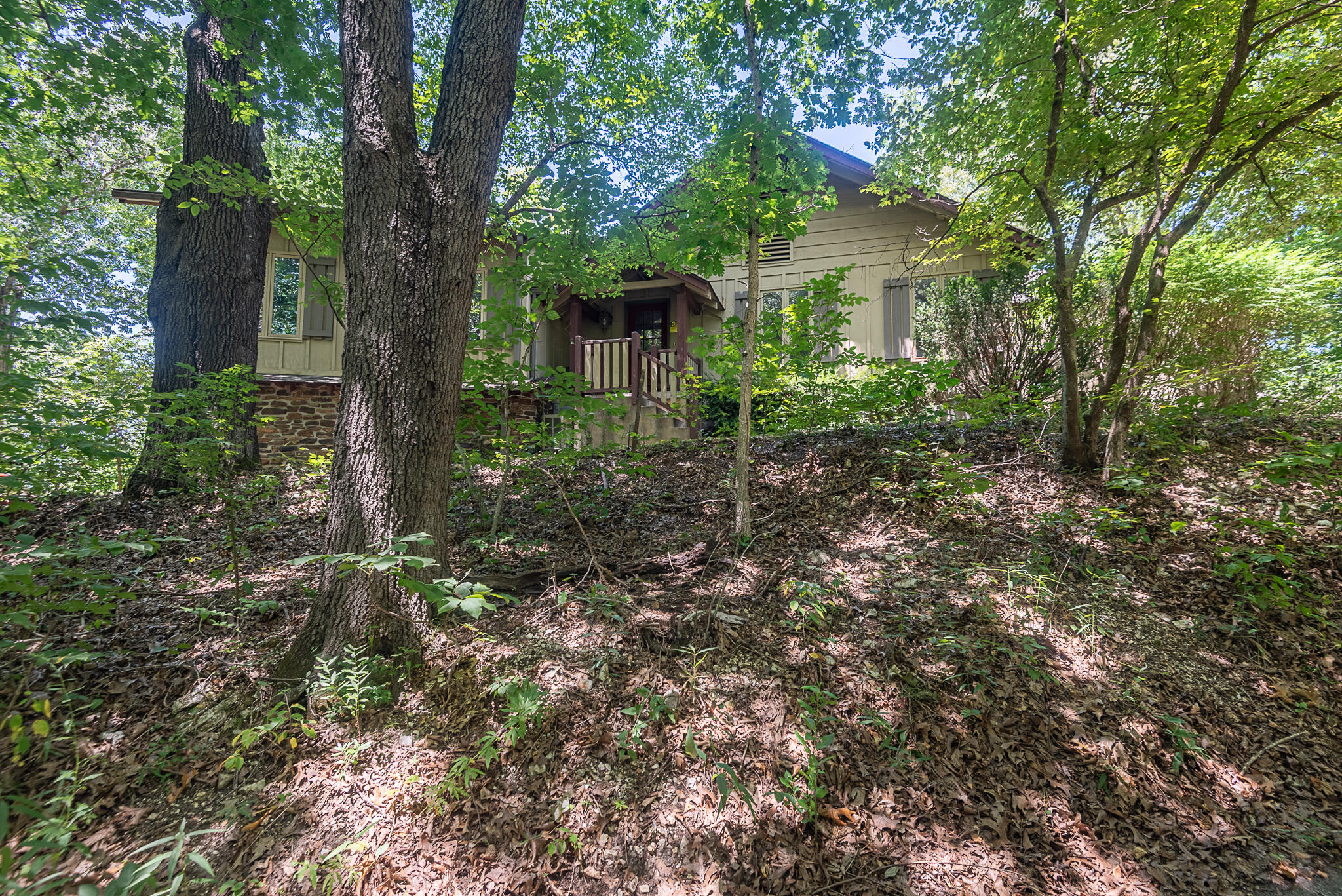 4439 E Fox Bluff Lane, Springfield MO 65809